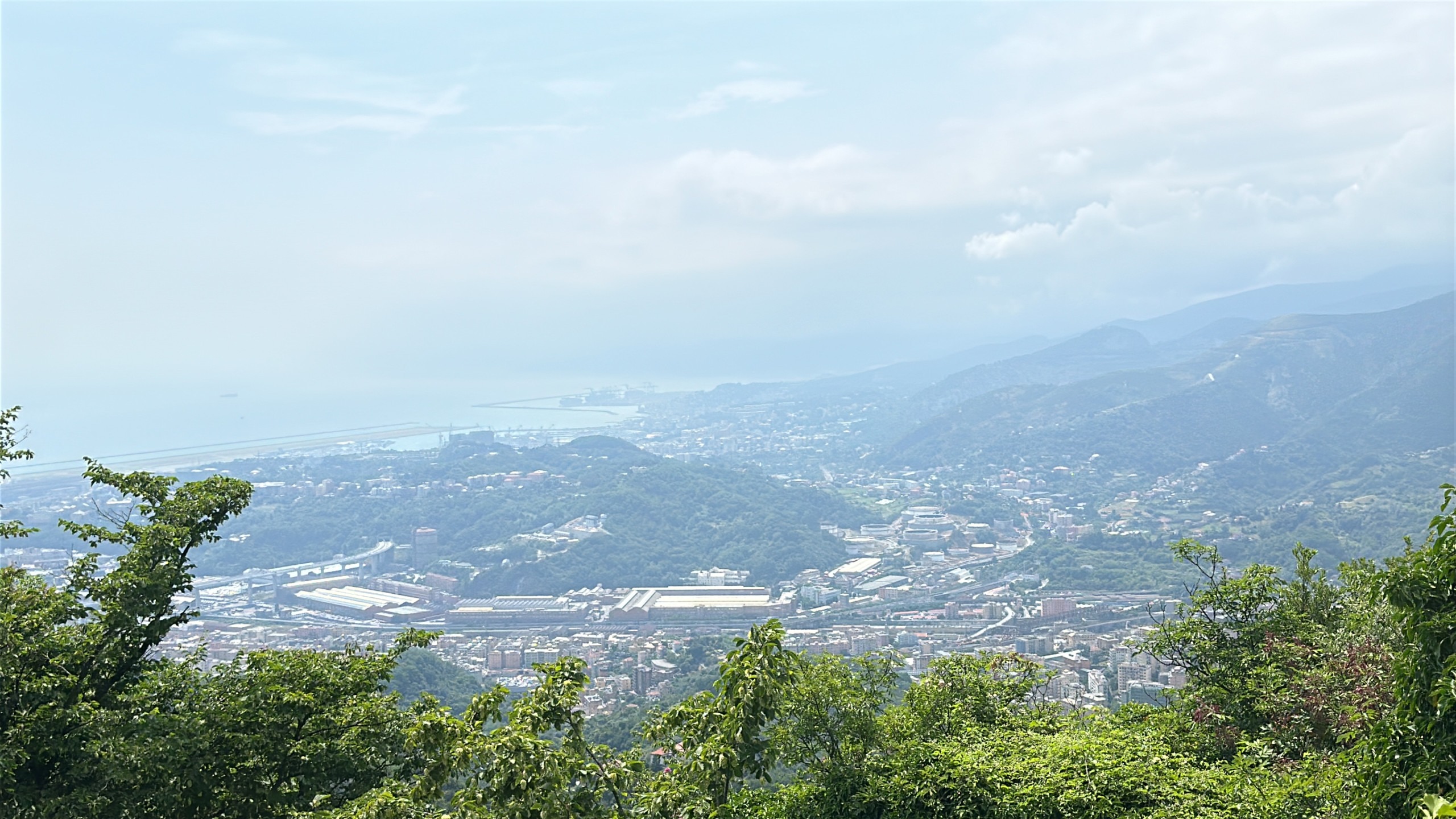 2F75E278-08D5-420D-BDE6-6F1D468A1036